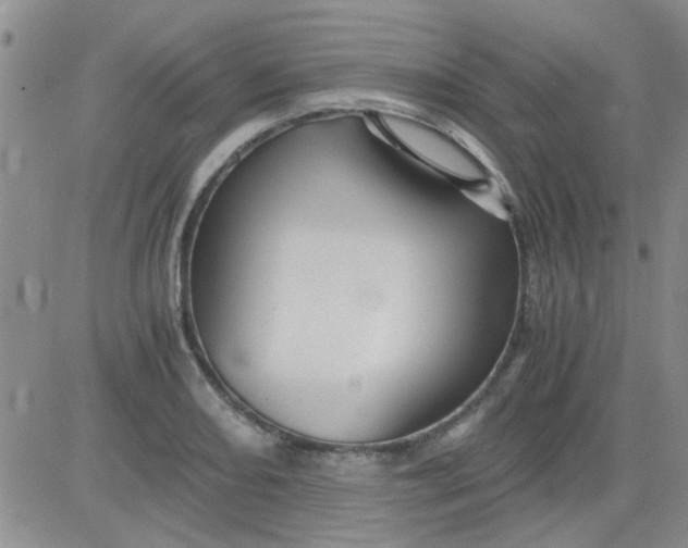 X0000084011082200703022025