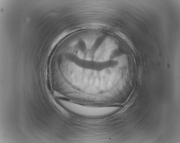 X0000084011083200703022025