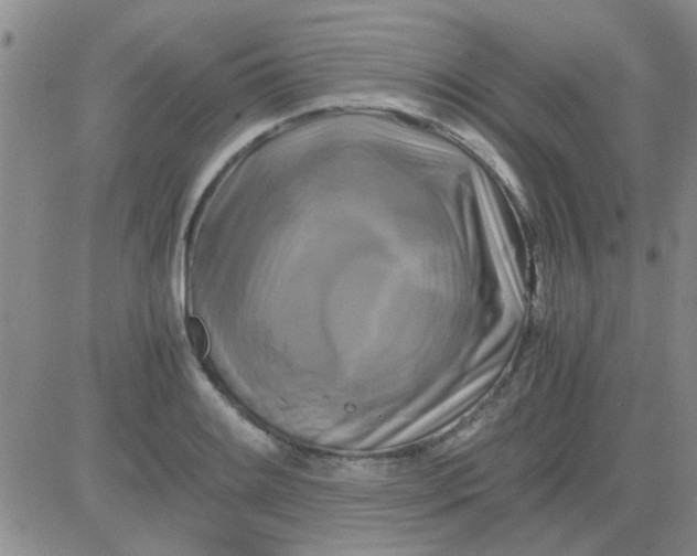 X0000084011084200703022025