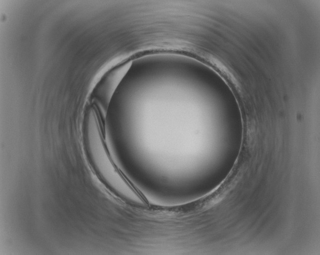 X0000084011085200703022025