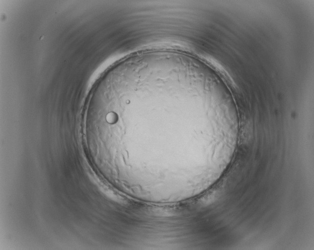 X0000084011086200703022025