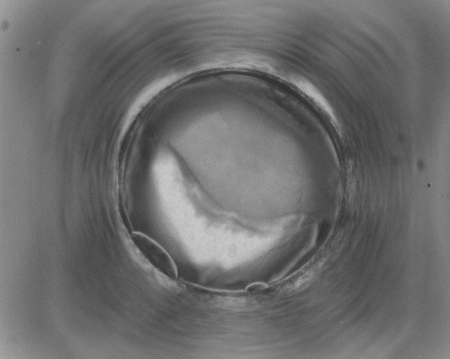 X0000084011088200703022025