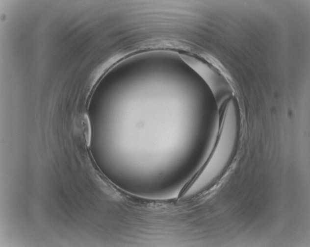 X0000084011089200703022025