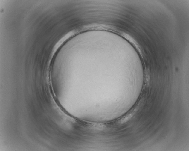 X0000084011090200703022025