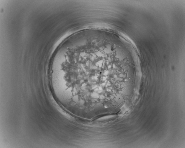 X0000084011091200703022025