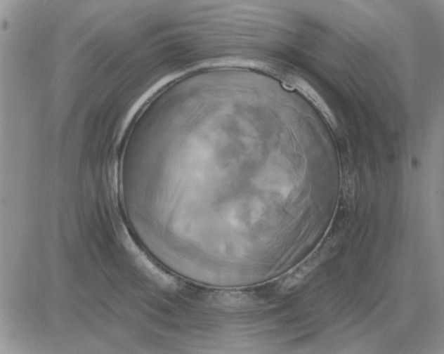 X0000084011092200703022025