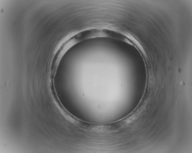 X0000084011093200703022025