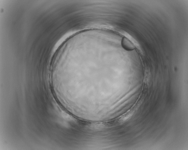 X0000084011094200703022025