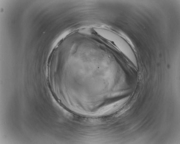 X0000084011095200703022025