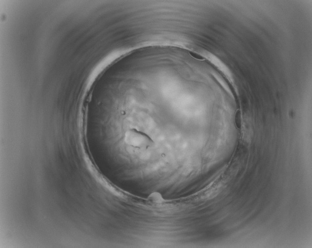 X0000084011096200703022025