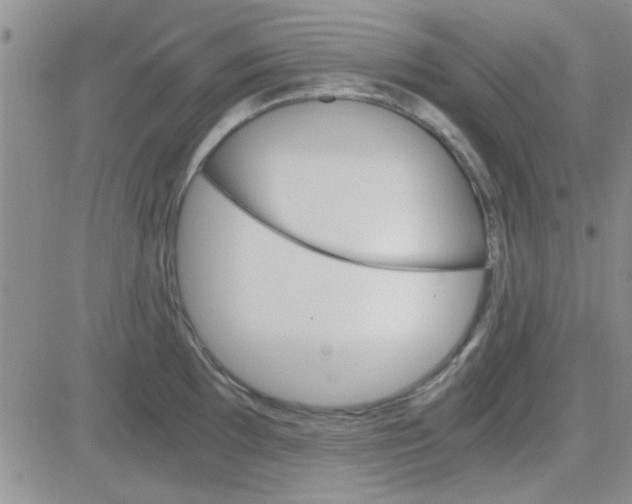 X0000084011097200703022025