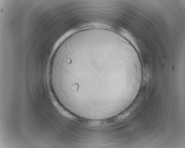 X0000084011098200703022025