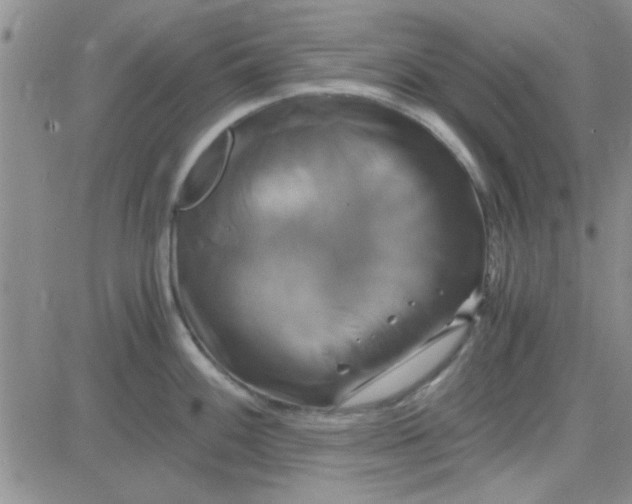 X0000084011100200703022025