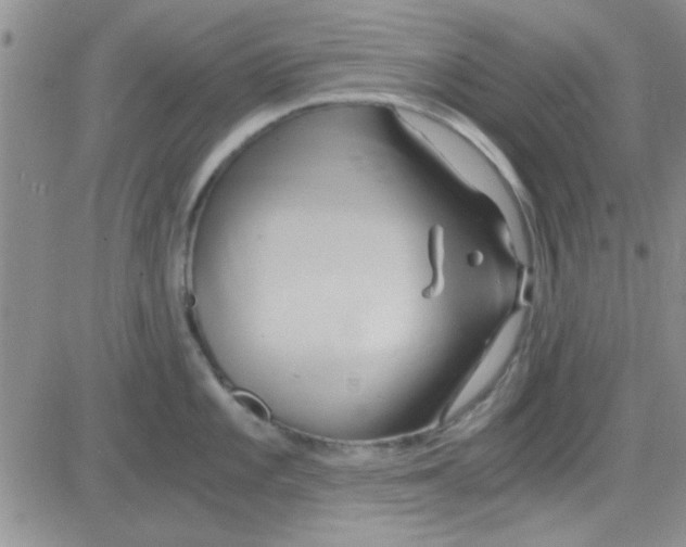 X0000084011101200703022025