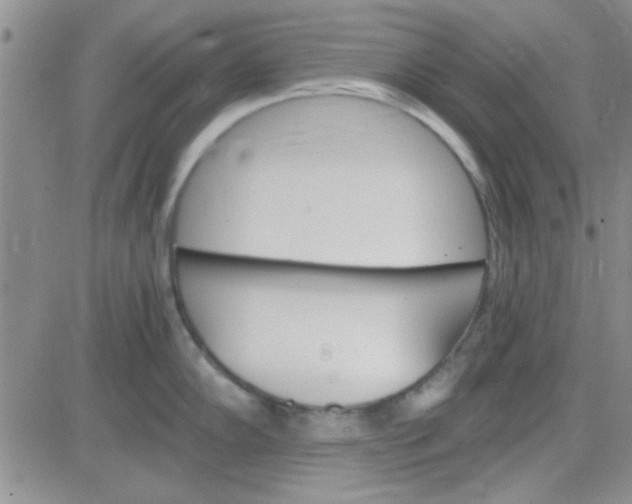 X0000084011102200703022025