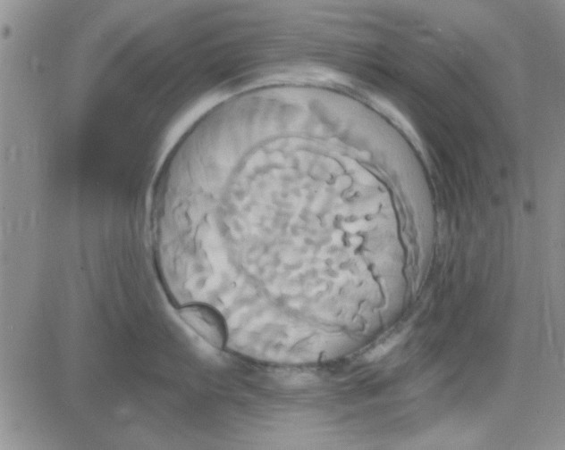 X0000084011103200703022025