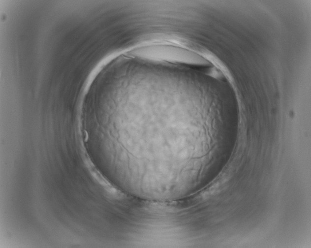 X0000084011104200703022025