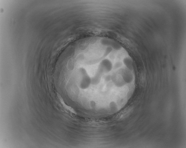 X0000084011105200703022024