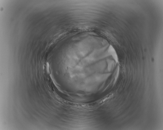 X0000084011106200703022024