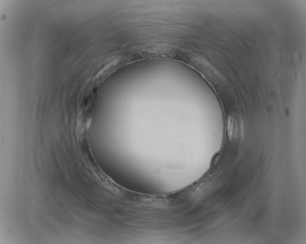 X0000084011107200703022024