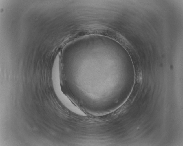 X0000084011108200703022024