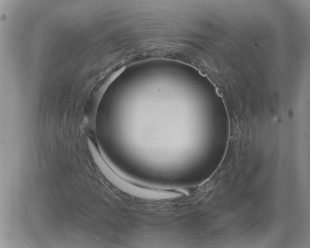 X0000084011109200703022024