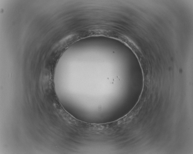 X0000084011111200703022024