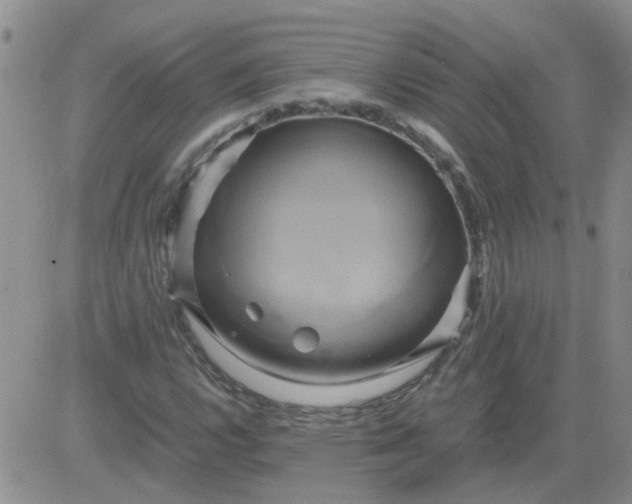 X0000084011112200703022024