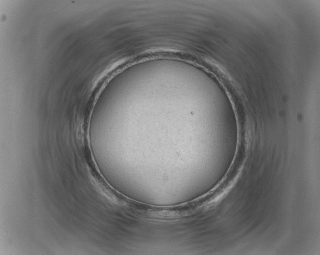 X0000084011113200703022024