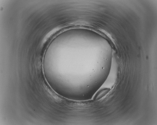 X0000084011115200703022024