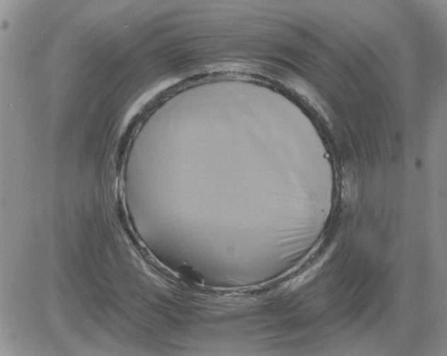 X0000084011117200703022024