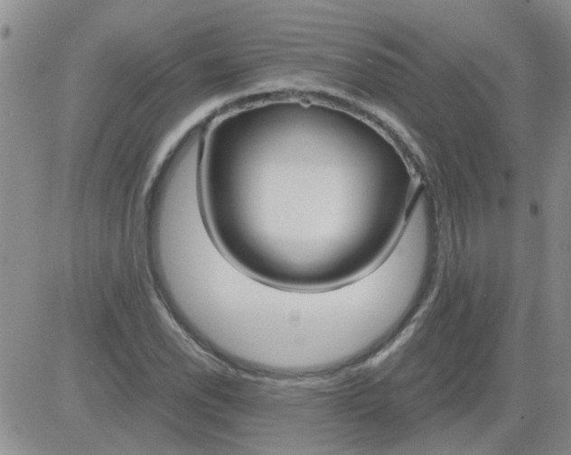 X0000084011118200703022024