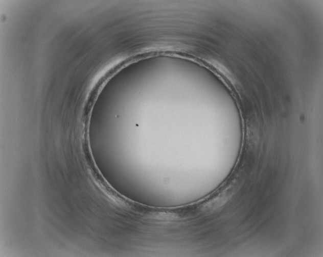 X0000084011119200703022024