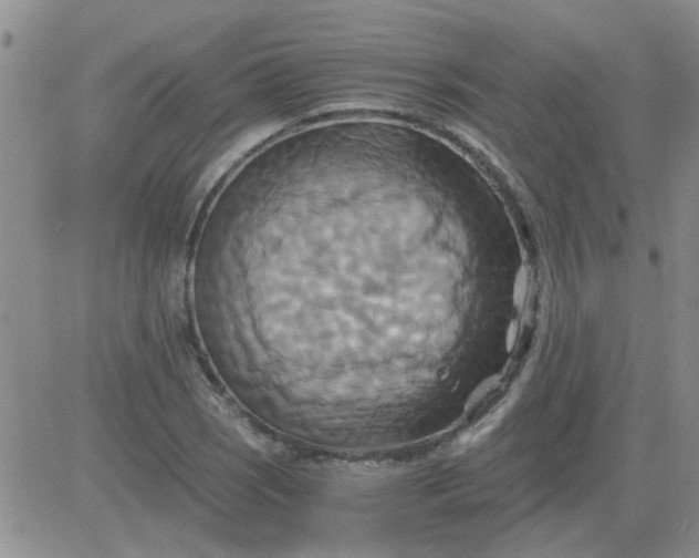 X0000084011121200703022024