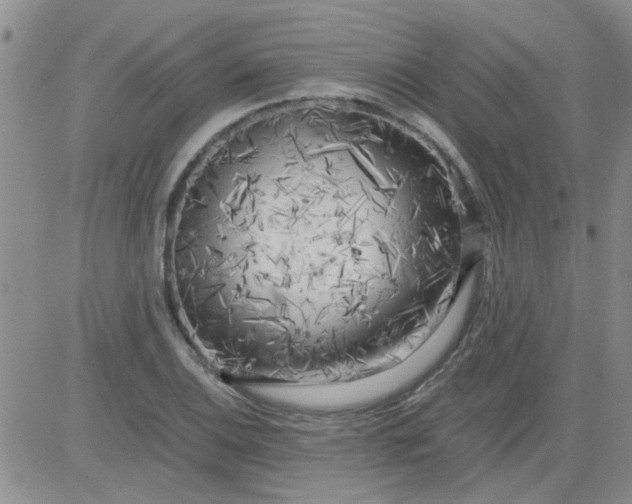 X0000084011124200703022024