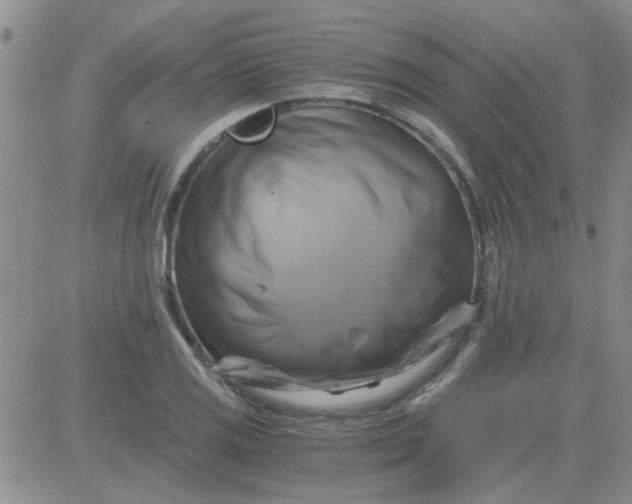 X0000084011125200703022024