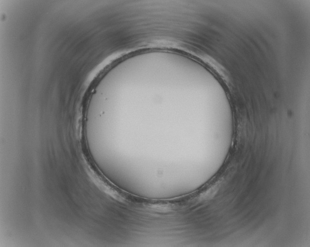 X0000084011126200703022024