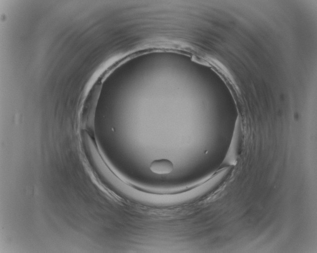 X0000084011128200703022024