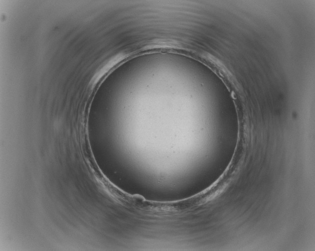 X0000084011129200703022024