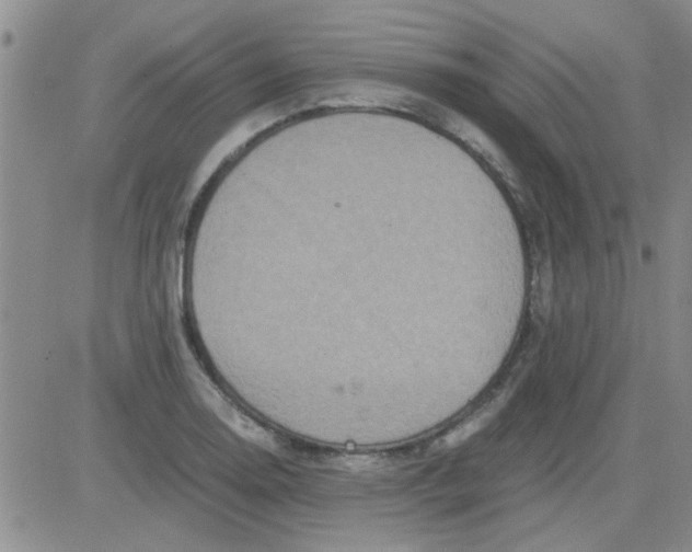 X0000084011130200703022024