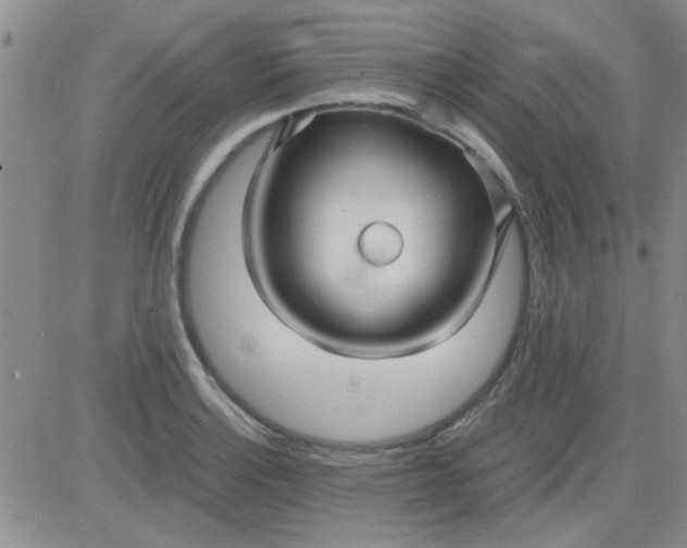 X0000084011132200703022024