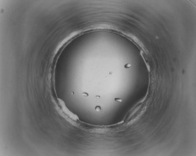 X0000084011134200703022024