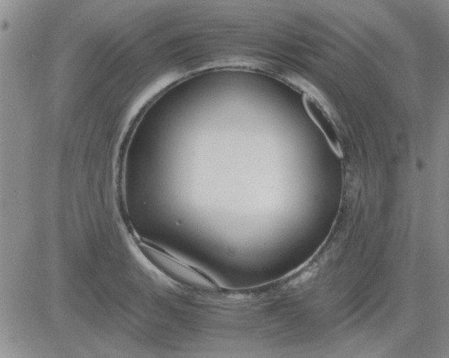 X0000084011135200703022024