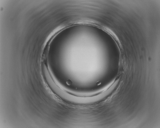 X0000084011138200703022024