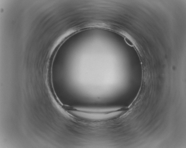 X0000084011139200703022024