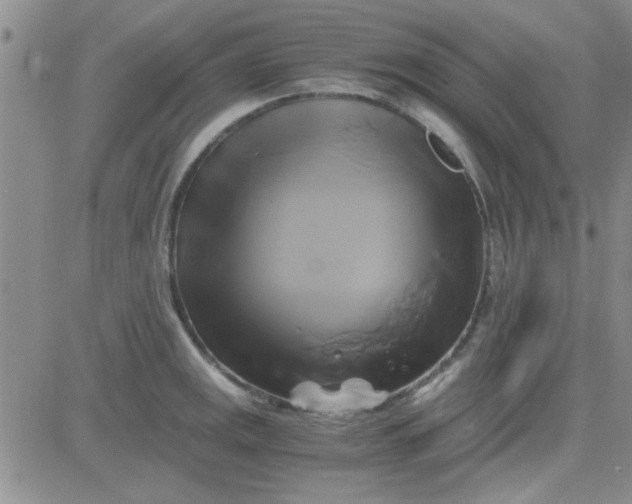 X0000084011141200703022024