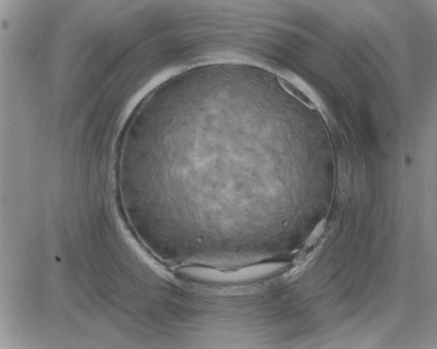 X0000084011142200703022024