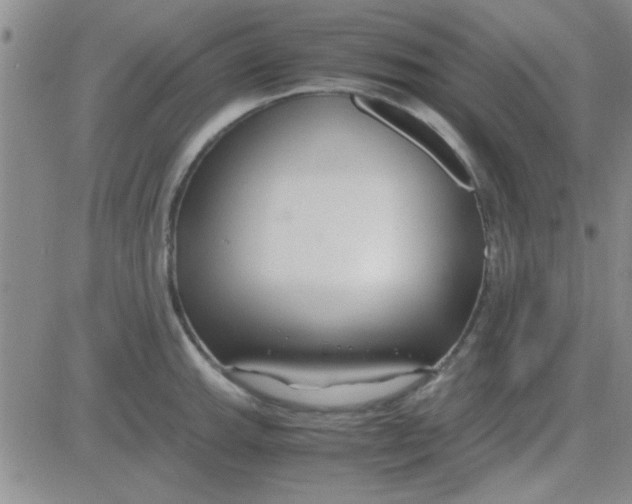 X0000084011143200703022024