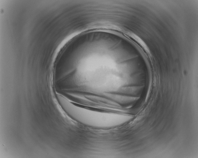 X0000084011144200703022024