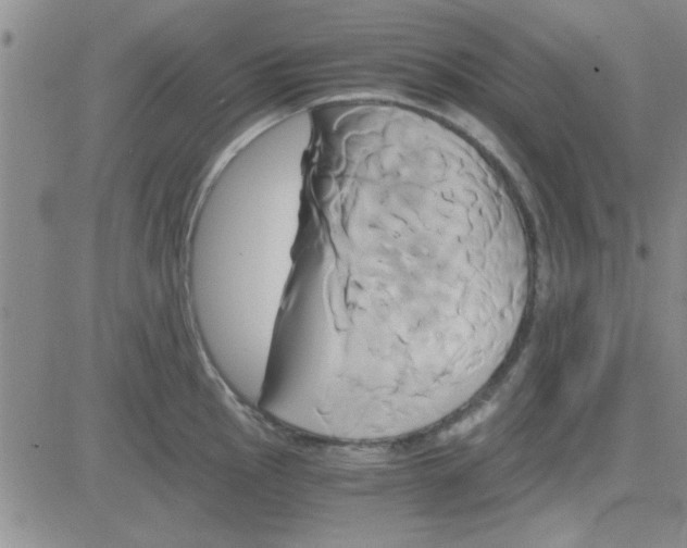 X0000084011145200703022024